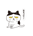 ボスにゃんこの使える言葉スタンプ（個別スタンプ：8）
