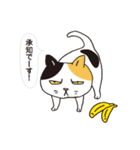 ボスにゃんこの使える言葉スタンプ（個別スタンプ：12）