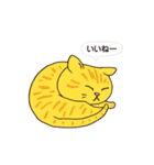 ボスにゃんこの使える言葉スタンプ（個別スタンプ：15）