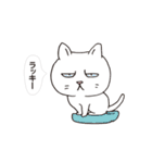 ボスにゃんこの使える言葉スタンプ（個別スタンプ：16）