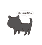 ボスにゃんこの使える言葉スタンプ（個別スタンプ：20）