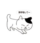 ボスにゃんこの使える言葉スタンプ（個別スタンプ：25）