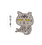 ボスにゃんこの使える言葉スタンプ（個別スタンプ：27）