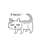 ボスにゃんこの使える言葉スタンプ（個別スタンプ：29）
