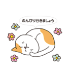 ボスにゃんこの使える言葉スタンプ（個別スタンプ：31）