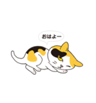 ボスにゃんこの使える言葉スタンプ（個別スタンプ：34）