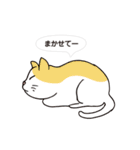 ボスにゃんこの使える言葉スタンプ（個別スタンプ：36）