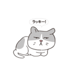 ボスにゃんこの使える言葉スタンプ（個別スタンプ：38）