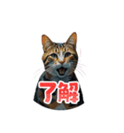 SEN Stamp8（個別スタンプ：2）
