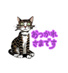 SEN Stamp8（個別スタンプ：8）