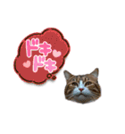 SEN Stamp8（個別スタンプ：9）