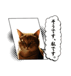 SEN Stamp8（個別スタンプ：31）