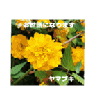 春らんまん の山野草で ご挨拶（個別スタンプ：14）