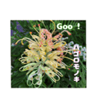 春らんまん の山野草で ご挨拶（個別スタンプ：29）