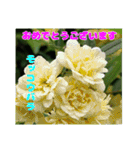 春らんまん の山野草で ご挨拶（個別スタンプ：30）
