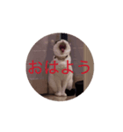 もなかのもんちゃんおはよう（個別スタンプ：2）