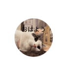 もなかのもんちゃんおはよう（個別スタンプ：3）
