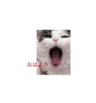 もなかのもんちゃんおはよう（個別スタンプ：8）