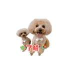 かわいいうちのこたちのスタンプ（個別スタンプ：2）