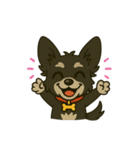 MIX犬チョコの日常リアクションスタンプ（個別スタンプ：6）
