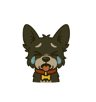 MIX犬チョコの日常リアクションスタンプ（個別スタンプ：10）