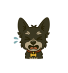MIX犬チョコの日常リアクションスタンプ（個別スタンプ：11）