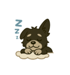 MIX犬チョコの日常リアクションスタンプ（個別スタンプ：16）