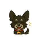 MIX犬チョコの日常リアクションスタンプ（個別スタンプ：35）
