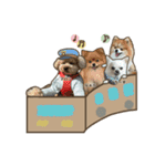 尊いイッヌの集いスタンプ（個別スタンプ：1）
