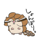 もちゃっぷ シマリス＆アンゴラウサギ（個別スタンプ：37）