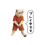 面白にゃんこ（ゴルフ）（個別スタンプ：2）