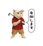 面白にゃんこ（ゴルフ）（個別スタンプ：9）