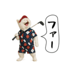 面白にゃんこ（ゴルフ）（個別スタンプ：11）