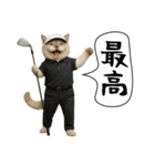 面白にゃんこ（ゴルフ）（個別スタンプ：14）
