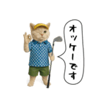 面白にゃんこ（ゴルフ）（個別スタンプ：16）