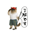 面白にゃんこ（ゴルフ）（個別スタンプ：18）
