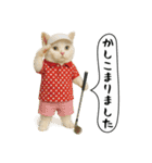 面白にゃんこ（ゴルフ）（個別スタンプ：21）