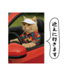 面白にゃんこ（ゴルフ）（個別スタンプ：23）