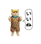 面白にゃんこ（ゴルフ）（個別スタンプ：30）