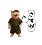 面白にゃんこ（ゴルフ）（個別スタンプ：31）