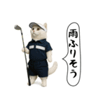 面白にゃんこ（ゴルフ）（個別スタンプ：32）