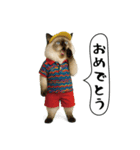 面白にゃんこ（ゴルフ）（個別スタンプ：33）