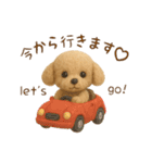 羊毛フェルト♡トイプードル♡日スタンプ1（個別スタンプ：6）