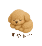 羊毛フェルト♡トイプードル♡日スタンプ1（個別スタンプ：30）
