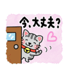 『シマ猫』心が楽になる、癒し系シリーズ（個別スタンプ：20）