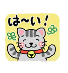 『シマ猫』心が楽になる、癒し系シリーズ（個別スタンプ：39）