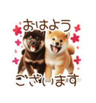 良く使う言葉の柴犬とスイーツ☆。.:＊・゜（個別スタンプ：1）