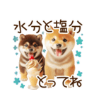 良く使う言葉の柴犬とスイーツ☆。.:＊・゜（個別スタンプ：2）