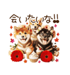 良く使う言葉の柴犬とスイーツ☆。.:＊・゜（個別スタンプ：6）