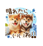 良く使う言葉の柴犬とスイーツ☆。.:＊・゜（個別スタンプ：9）